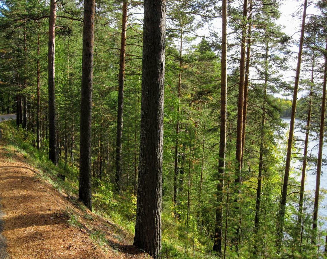 Pankkotupa Yrjo Villa Punkaharju Eksteriør bilde